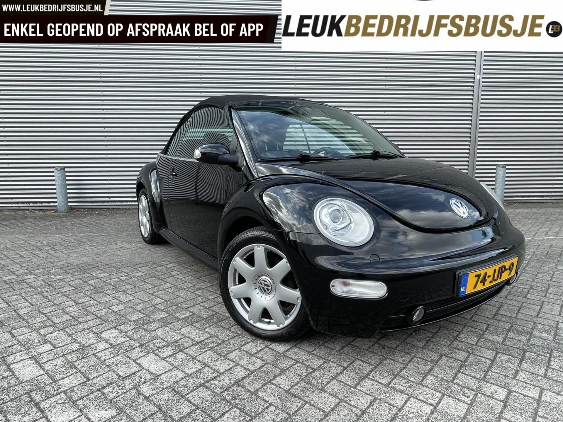 36169334-15.jpg